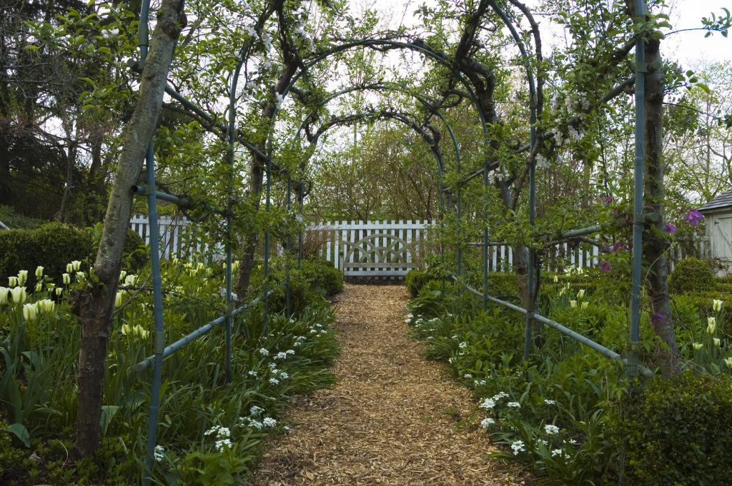 Broccoli Hall 10